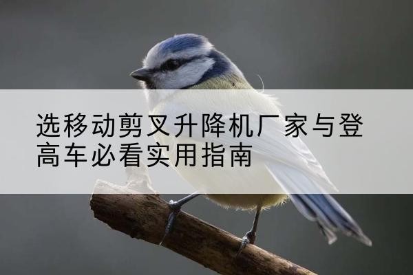 理塘电动升降机厂家-选移动剪叉升降机厂家与登高车必看实用指南