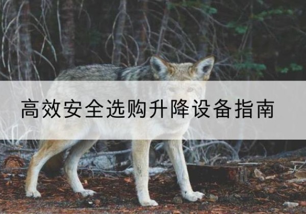 理塘升降货梯厂家推荐-*安全选购升降设备指南