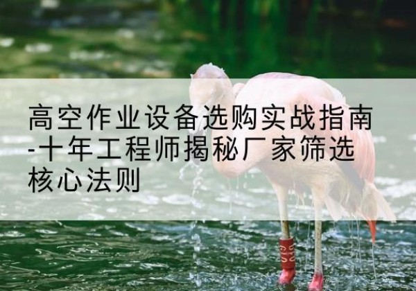 理塘剪叉式升降机厂家-高空作业设备选购实战指南-十年工程师揭秘厂家筛选核心法则